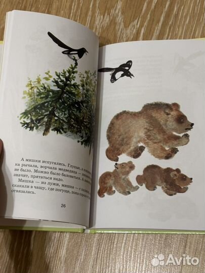 Тюпа томка и сорока Евгений Чарушин