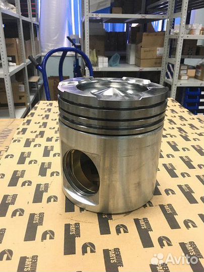 Поршень Cummins 4025158