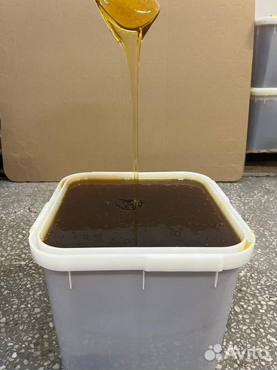 Майский свежий мед оптом