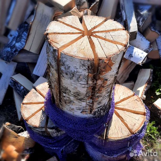 Финская свеча берёза