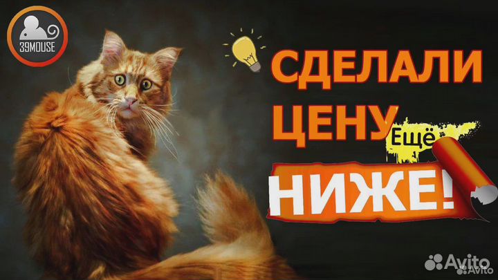 Мощные Ноутбуки Всегда В наличии Гарантия