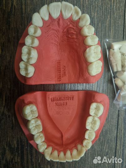 Модели геллера с дополнительным комплектом зубов