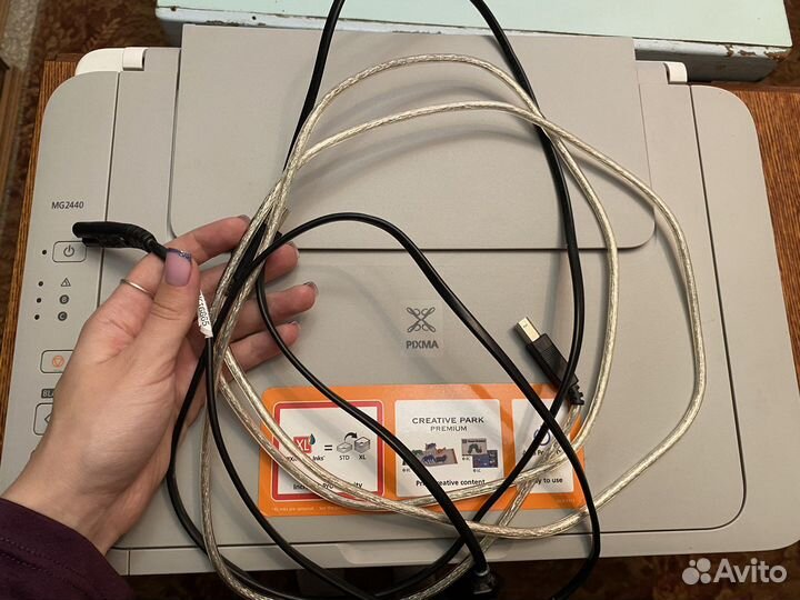 Принтер canon pixma mg2440
