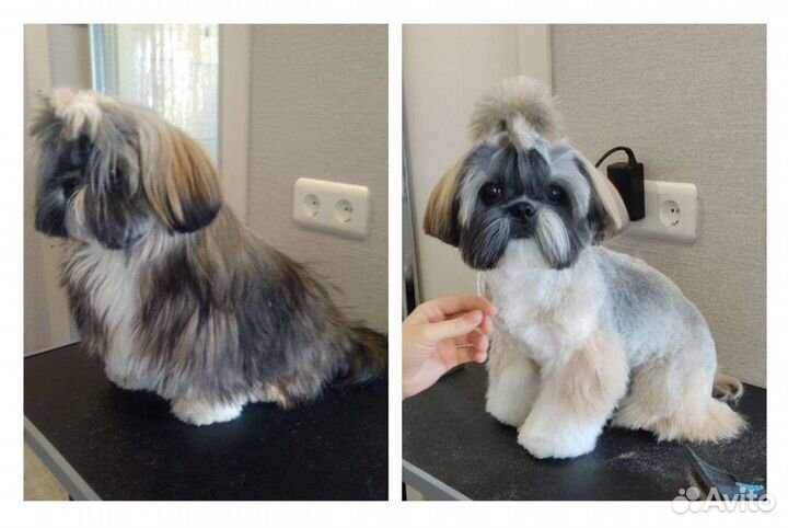 Стрижка животных