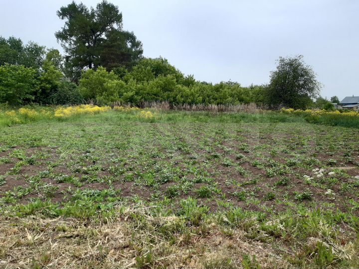 Дом 30,9 м² на участке 25 сот.