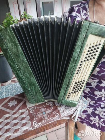 Баян тульский