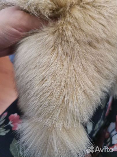 Шапка-ушанка из меха песца
