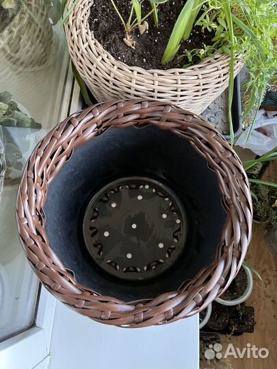 Кашпо из ротанга, кашпо для цветов