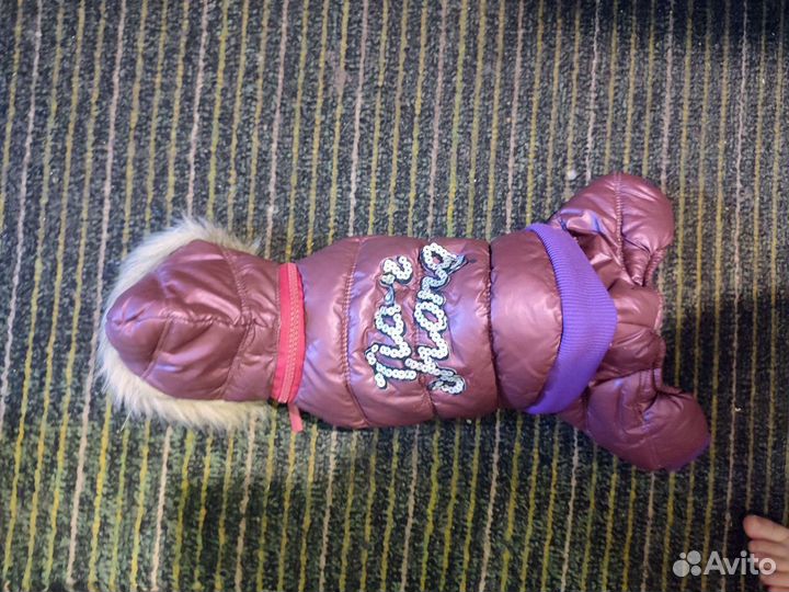 Комбинезон для маленькой собачки