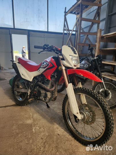 Irbis ttr250