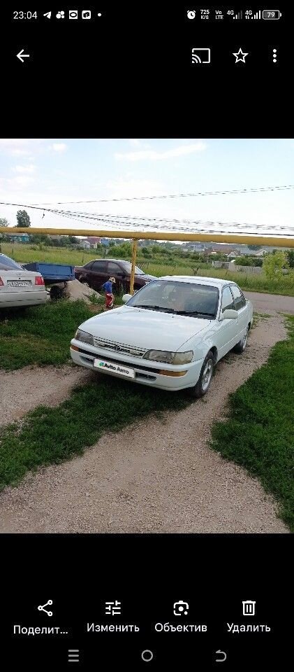 Toyota Corolla: фото владельца