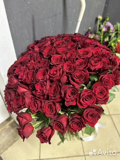 Пионовидные розы букет 51 шт 25 шт, роза эквадор