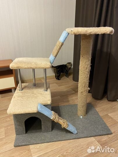 Домик когтеточка