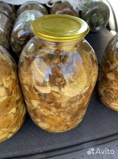 Грибы грузди соленые