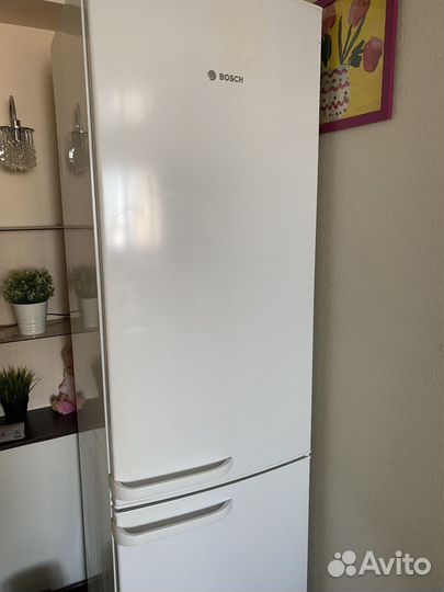 Холодильник bosch