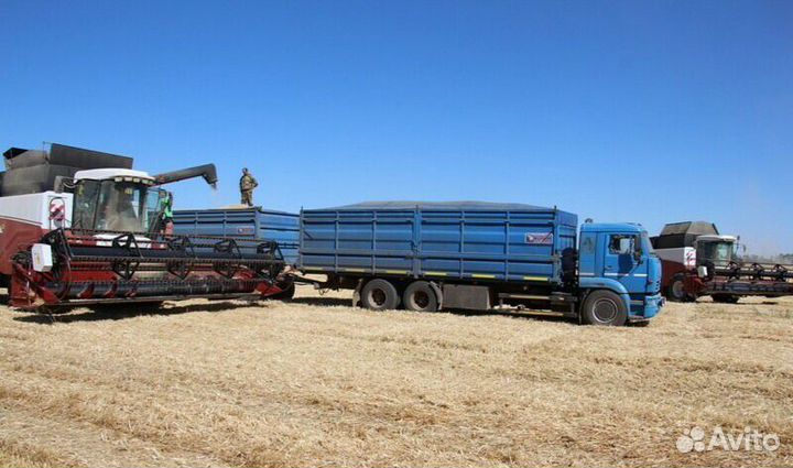 Перевозки пшеницы Зерновозы