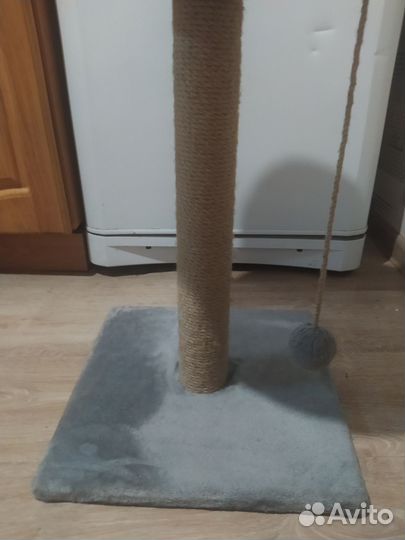 Когтеточка