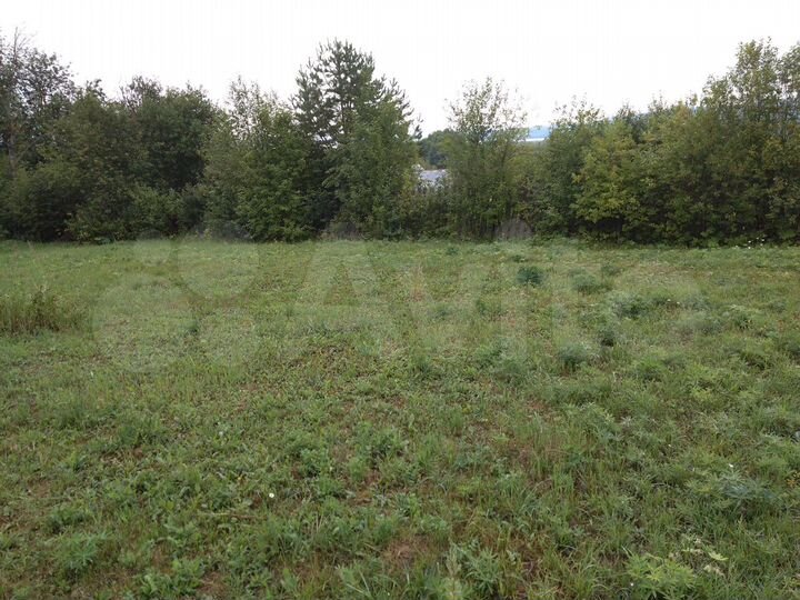 Участок 25 сот. (ИЖС)