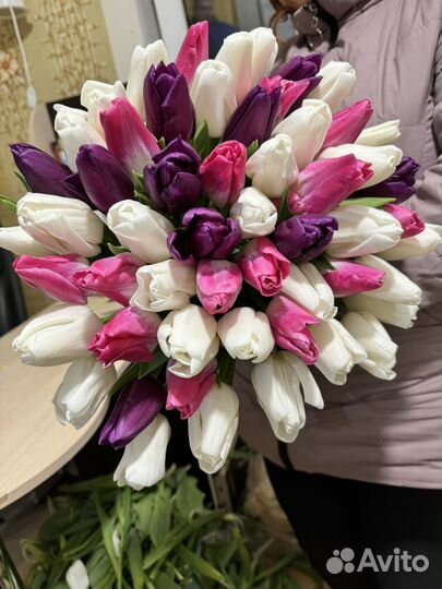 Луковицы тюльпанов