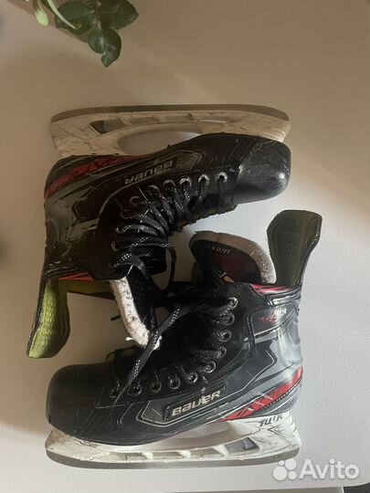 Коньки Bauer Vapor x2.9