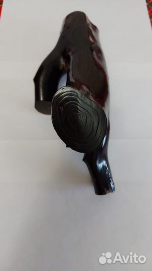 Черный коралл