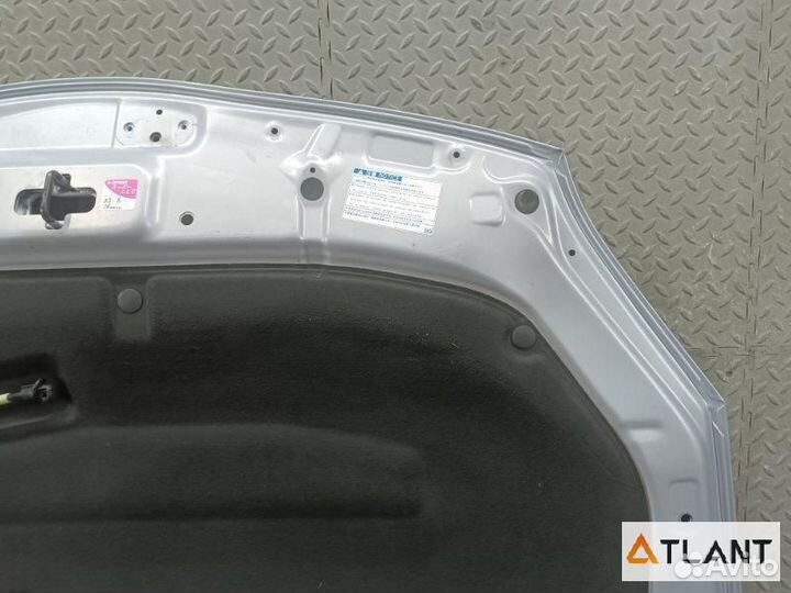 Капот toyota prius