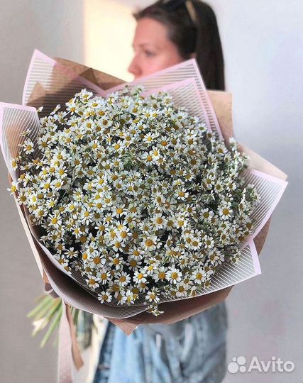 Ромашки Пионы Розы Доставка