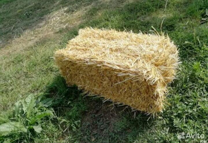 Кормушки,поилки,зерно,сено,солома,опилки