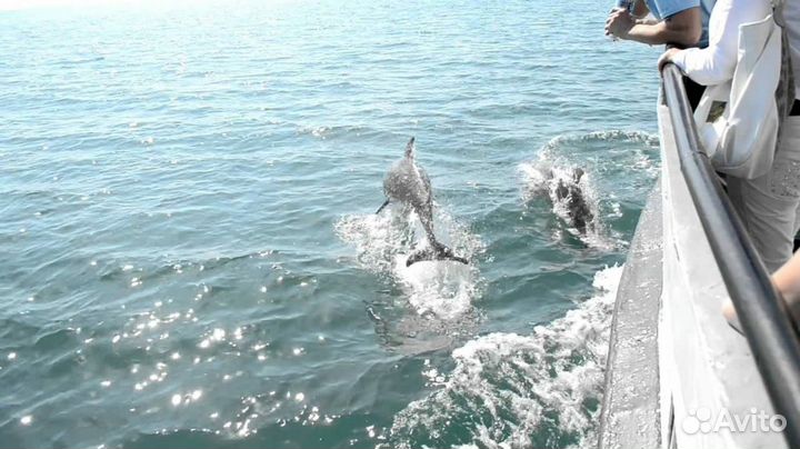 2 Часовая обзорная прогулка на моторной яхте