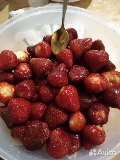 Саженцы клубники 