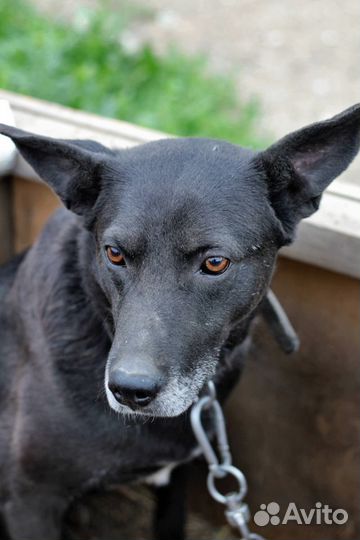 Девайс ждет хозяев