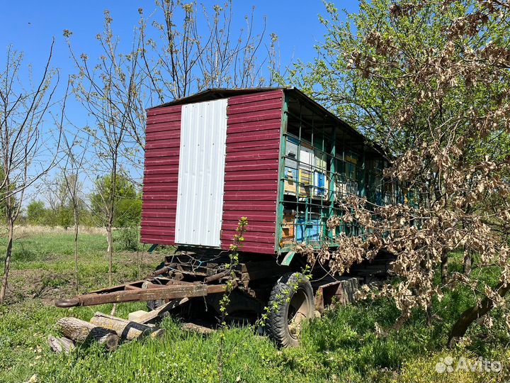 Продается пасека/прицеп,ульи,пчёлы,пчелосемьи