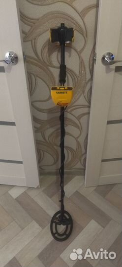 Сдам металлоискатель в аренду