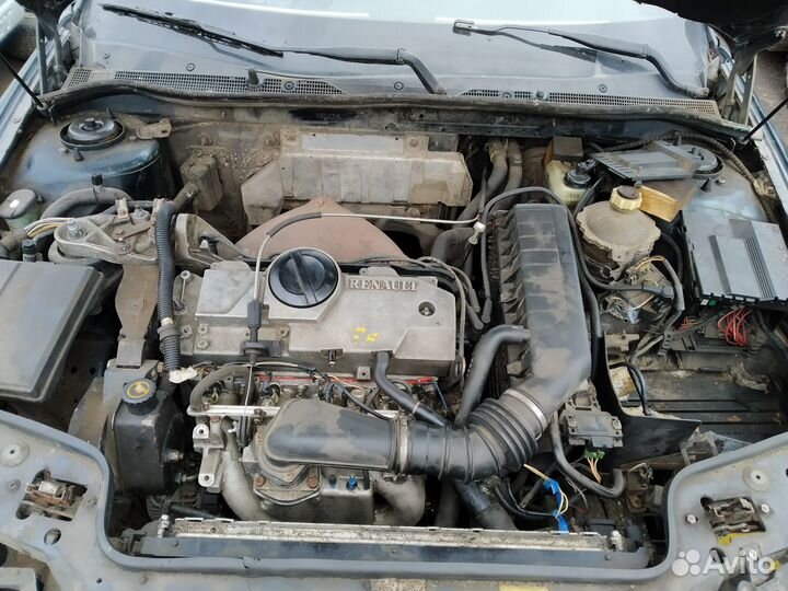 Мозги эбу Рено Сафран Шафран