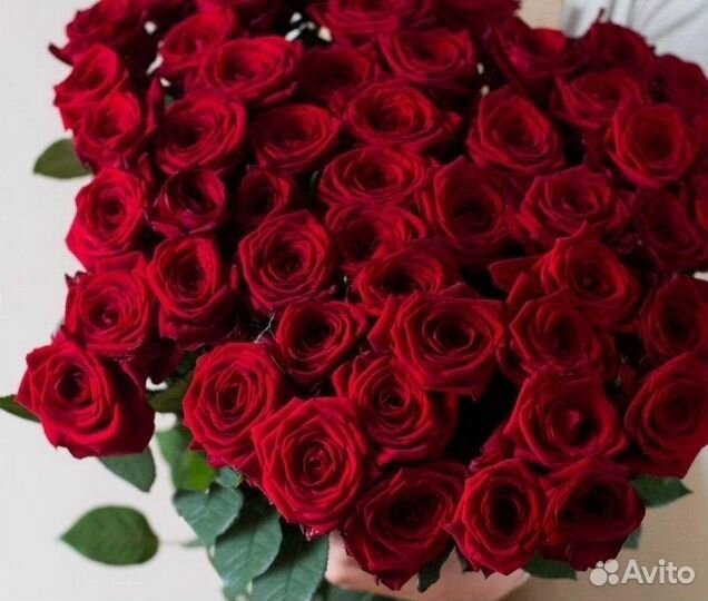 Тюльпан 51 101 опт