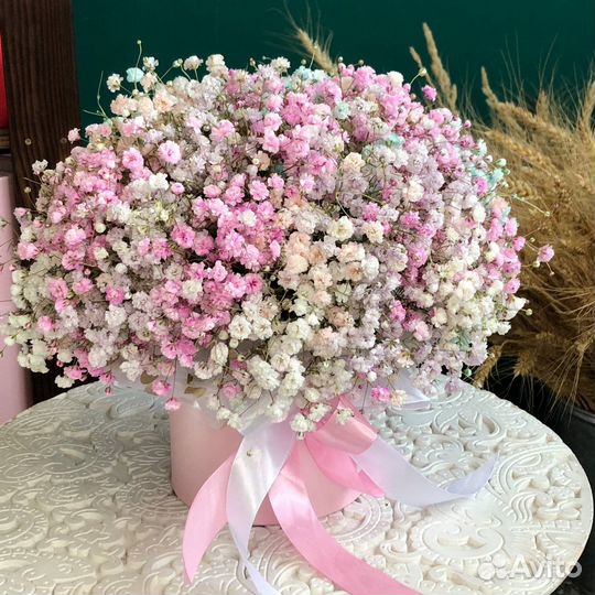 Радужная гипсофила с доставкой