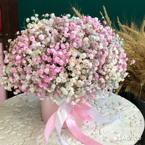 Радужная гипсофила с доставкой