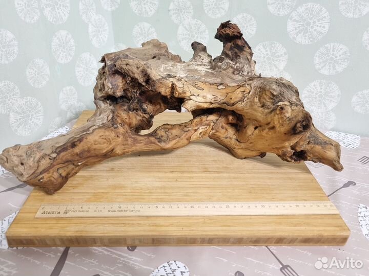 Коряга в аквариум. Террариум
