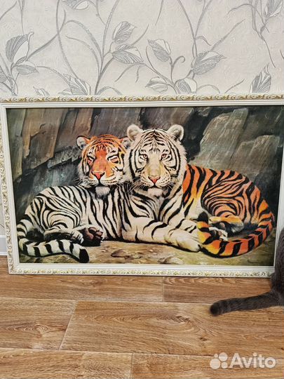 Картина тигр
