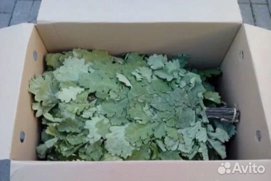 Веники для бани