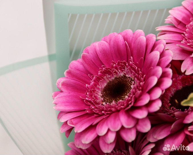 Букет из 15 малиновых мини гербер