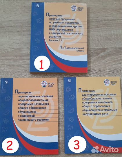 Программы фгос овз