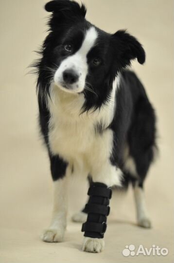 Бандаж-фиксатор на переднюю лапу, усиленный