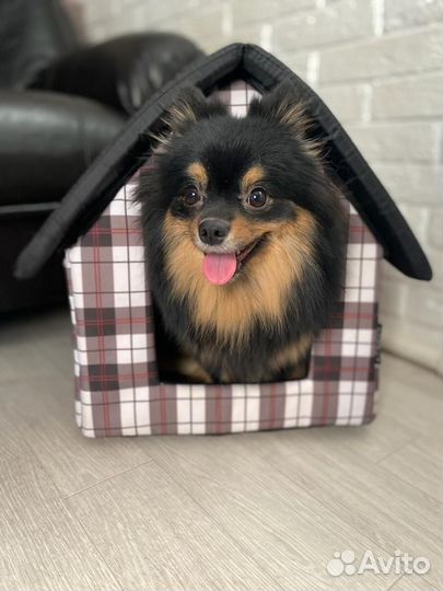 Зоогостиница