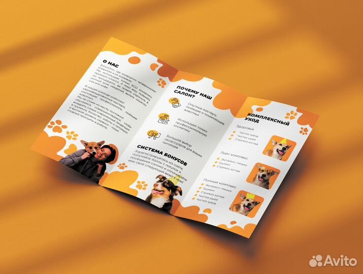 Графический дизайнер, иллюстратор