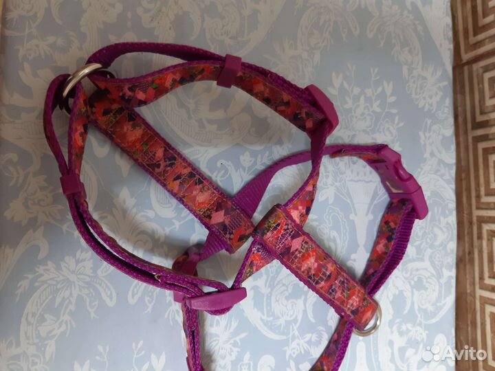 Ошейник и шлейка