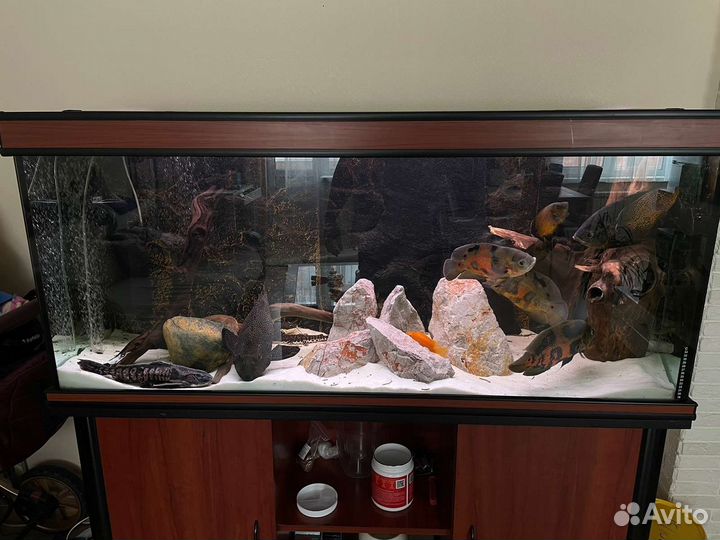 Белый песок для аквариума, мелкий