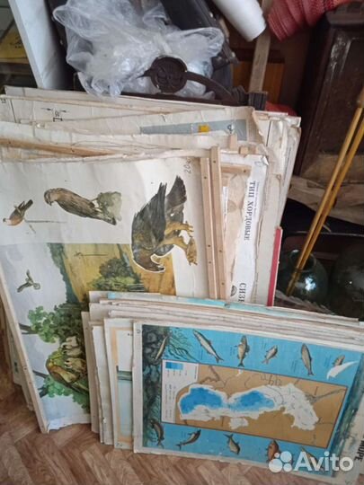 Наглядное пособие учебное период СССР