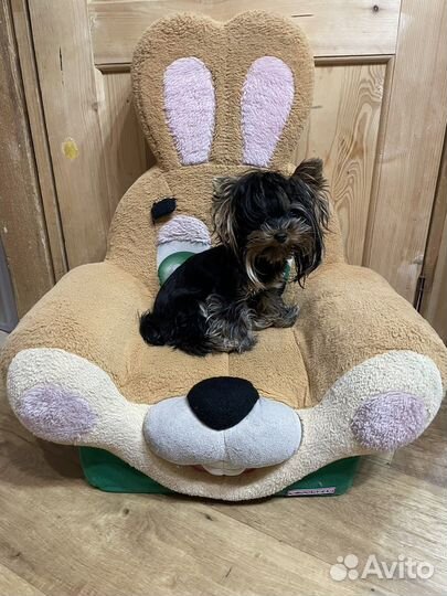 Лежанка-зайка