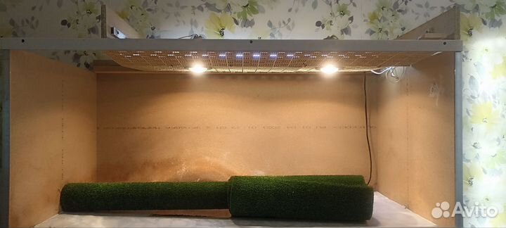 Террариум для рептилий бу